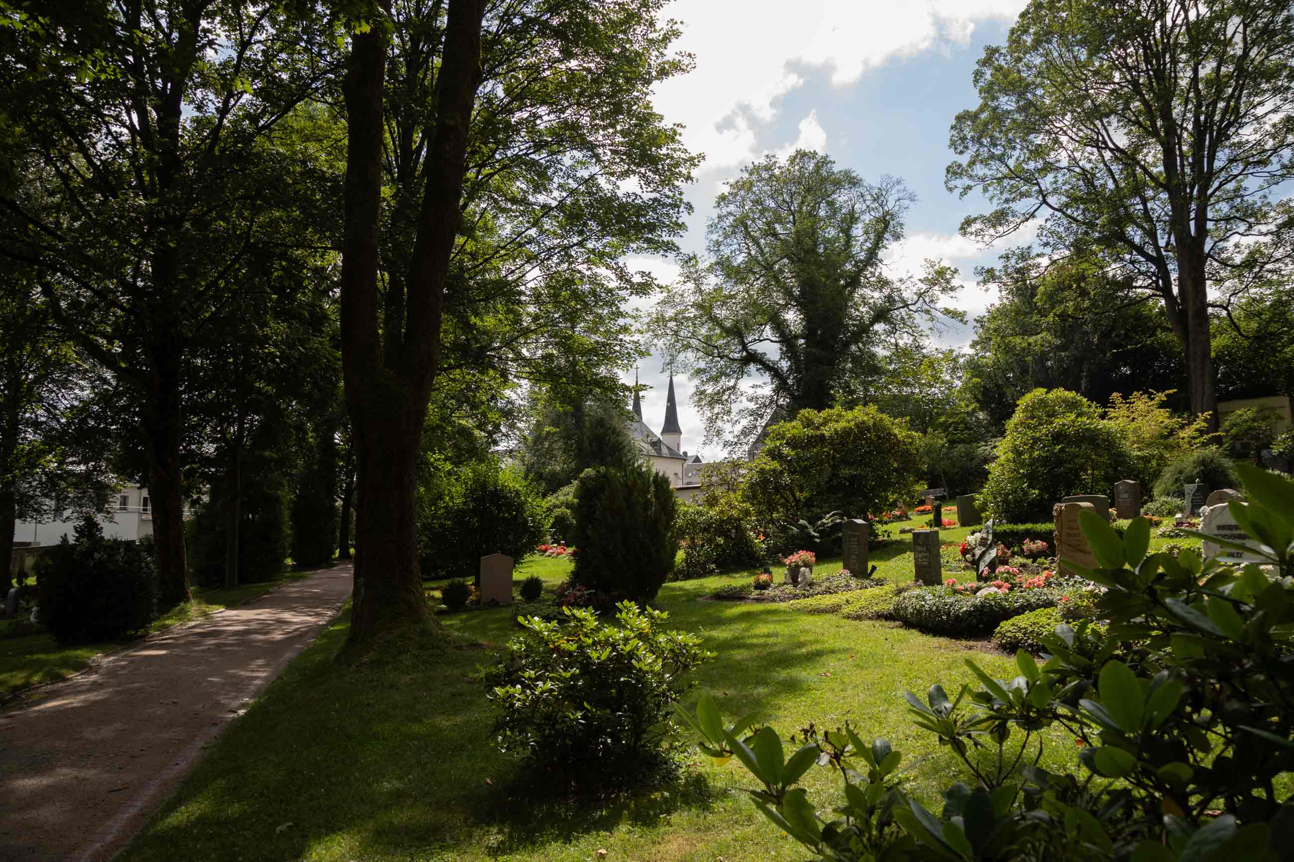 Grüne Wiese und Büsche auf dem Friedhof Schneeberg